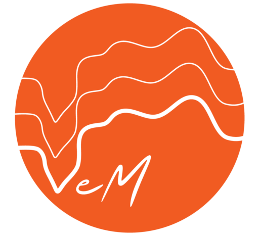 vemexperiences.com