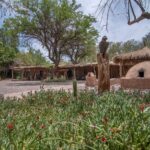 Yoga Trip - Atacama 2025 - Imagem 9