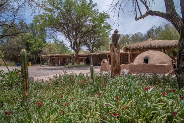 Yoga Trip - Atacama 2025 - Imagem 9
