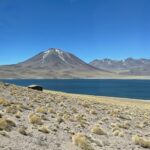 Yoga Trip - Atacama 2025 - Imagem 3