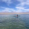 Yoga Trip - Atacama 2025 - Imagem 5