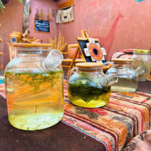 Experiência Andina