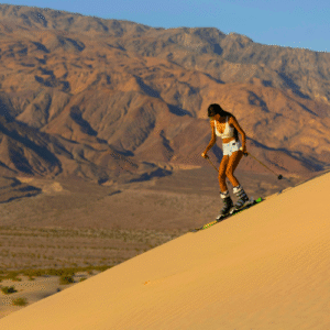Sandboard